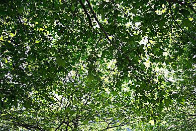 3DM速报：《赛博朋克2077》资料片明年出 小岛秀夫澄清被索尼收购